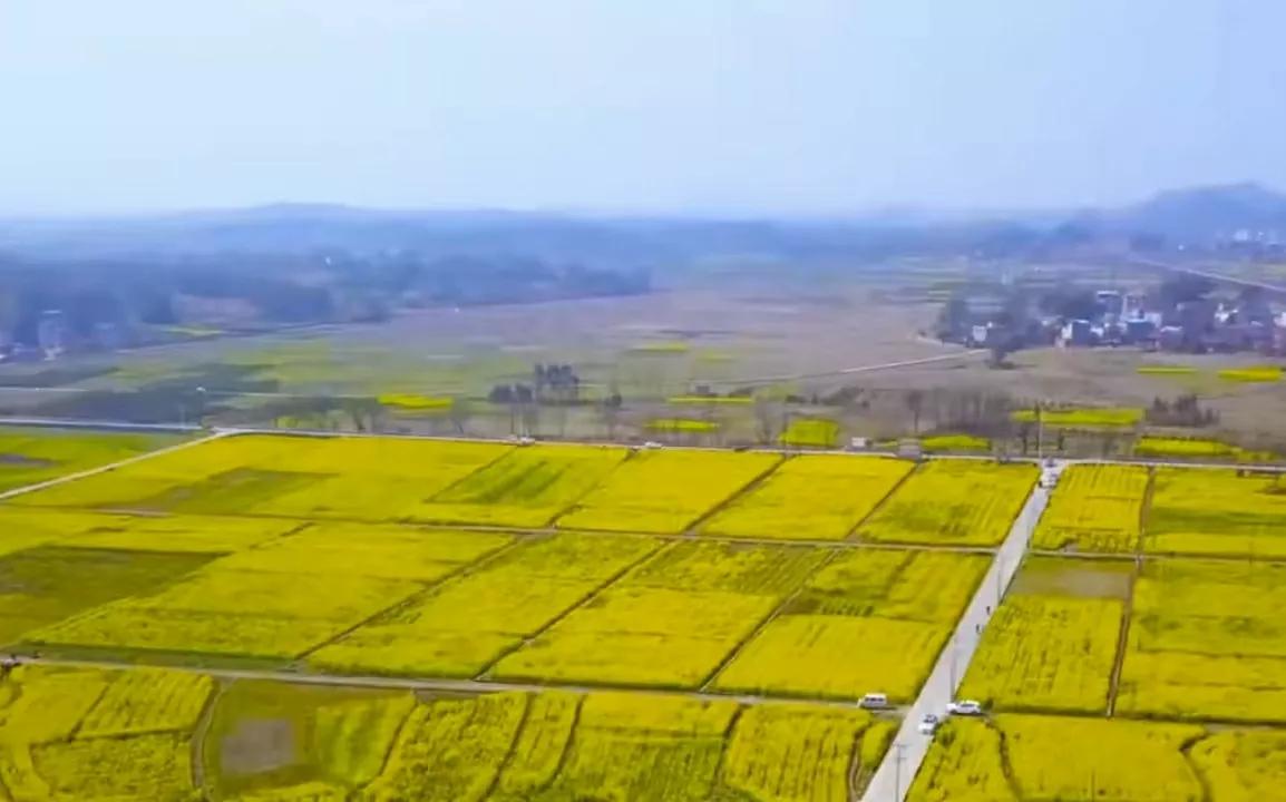 贵州网红草根把亲妹妹介绍给大衣哥做儿媳，返回老家一路江南美景