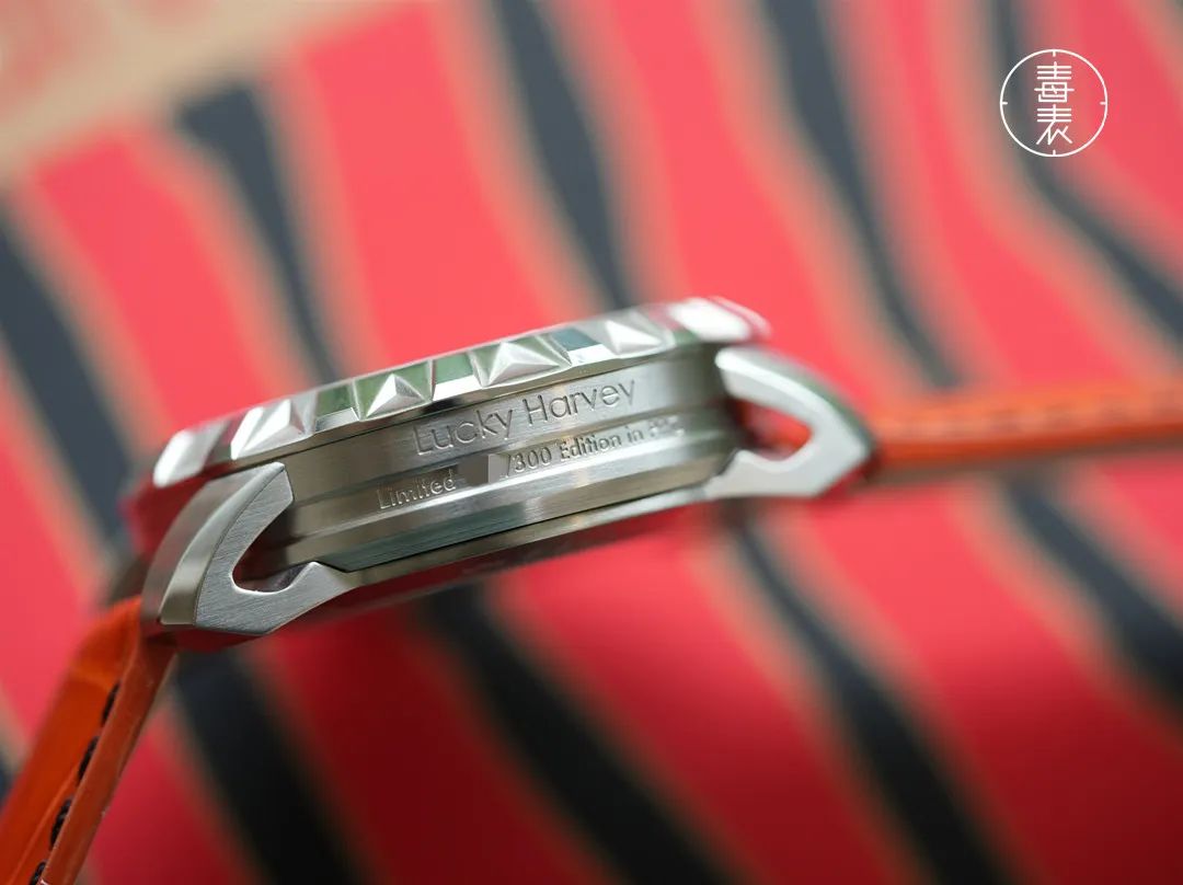 国表新秀——虎睛LUCKYHARVEY