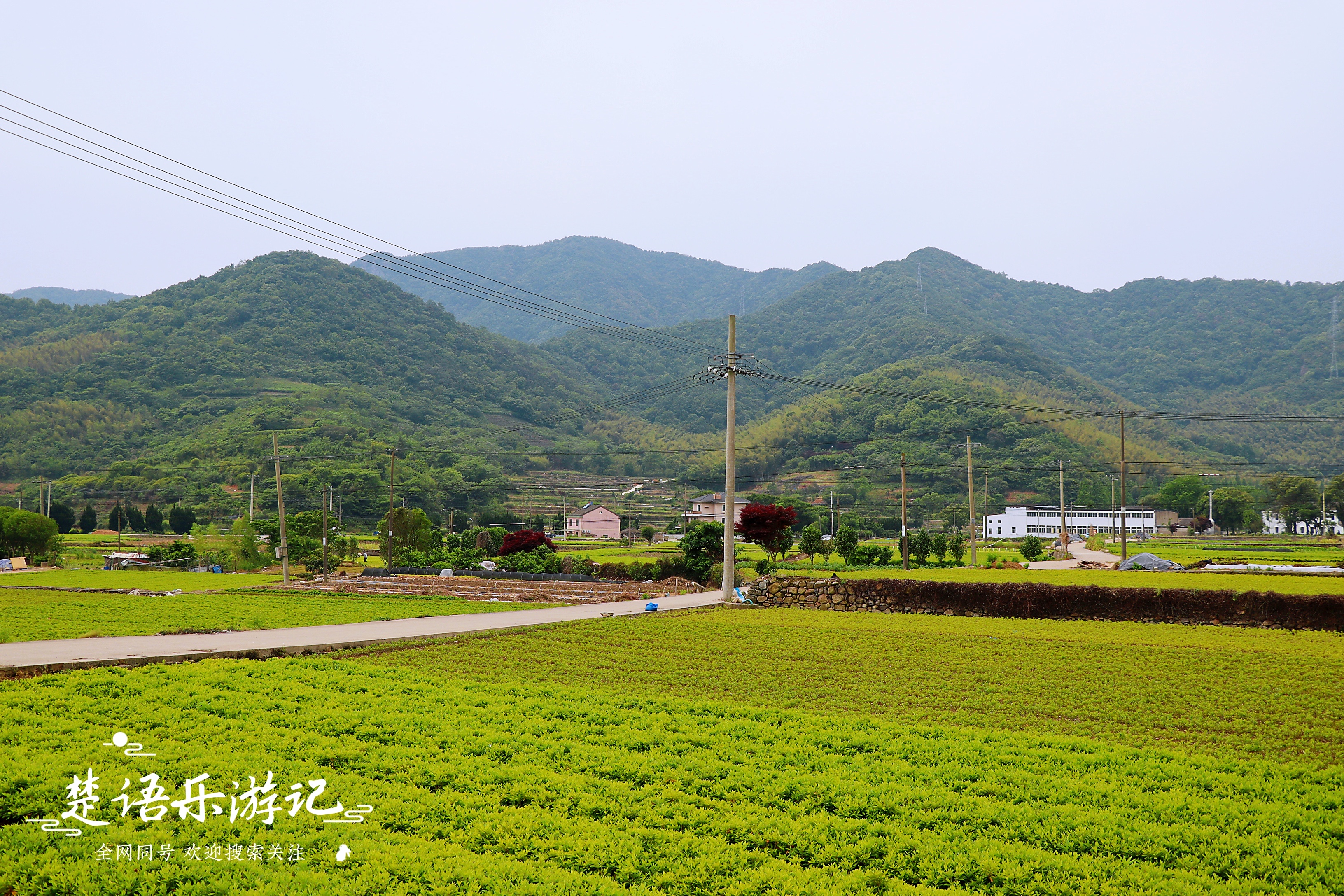 北仑海边露营好去处,宁波北仑大碶露营地推荐免费