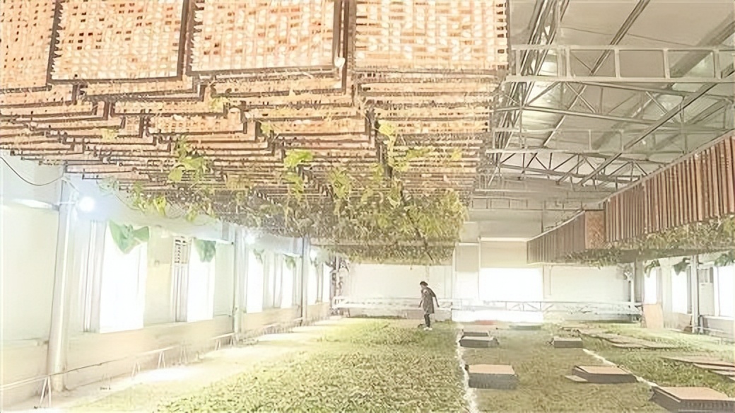 探访宾阳县八合村：机器当“蚕娘”致富有保障