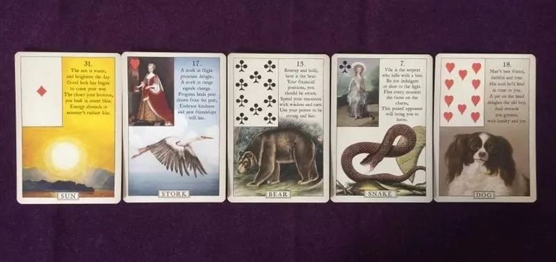 带你认识新的一种预测工具——雷诺曼卡