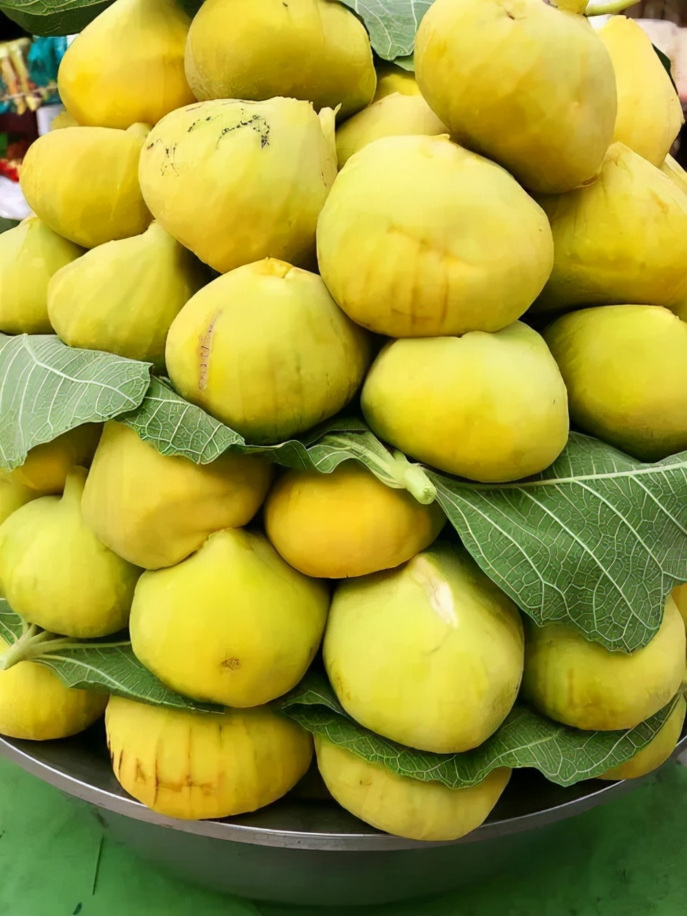 土特产无花果,无花果哪里最好吃最有营养