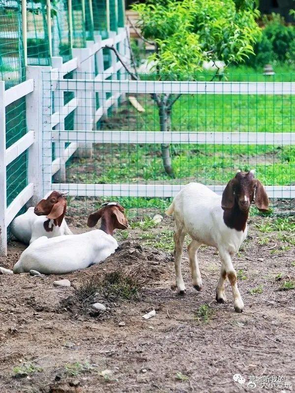 北京适合孩子玩的农场,一年四季都可以去的亲子农场