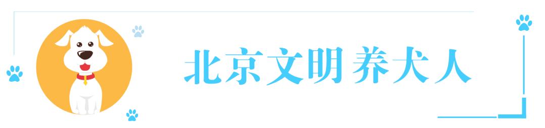 大型犬养犬证怎么办理,文明养犬给爱犬一个合法的身份