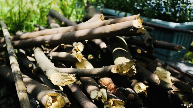 平沙露营地方,珠海平沙公园可以露营过夜吗