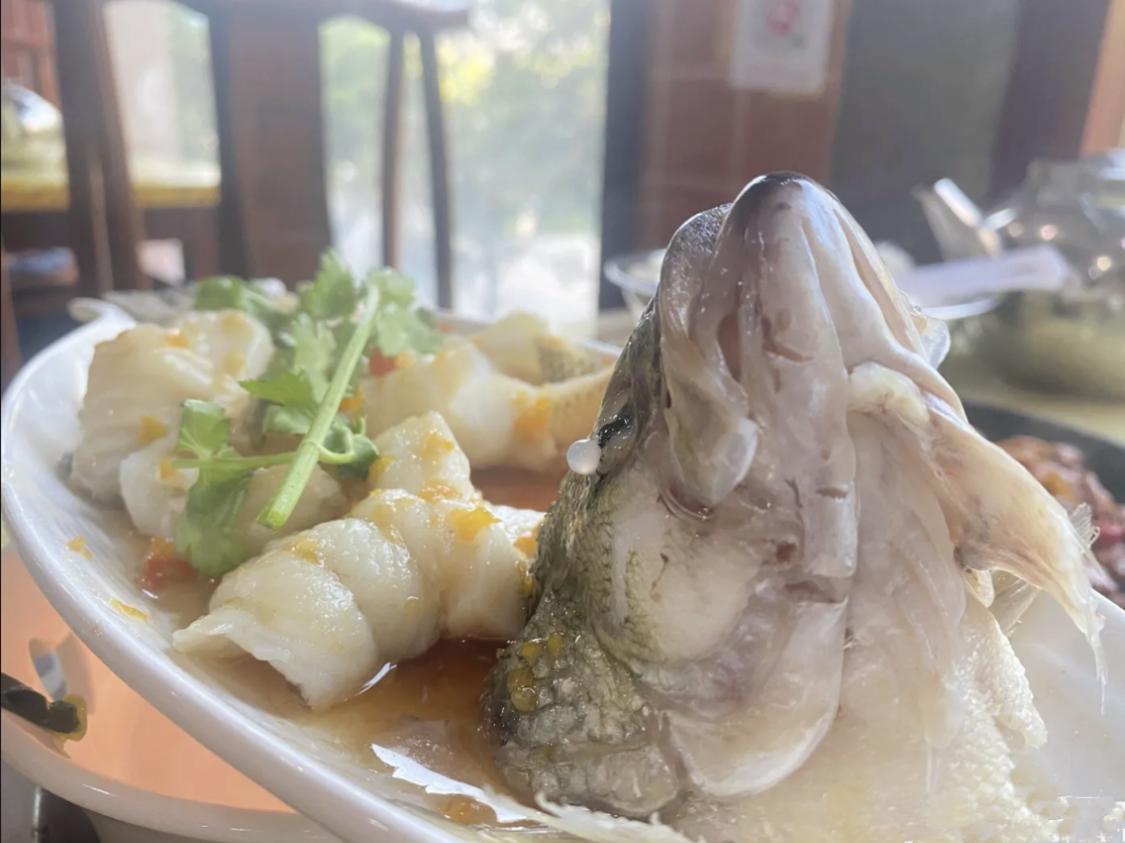 湖南长沙家常湘菜,长沙地道湘菜二十年