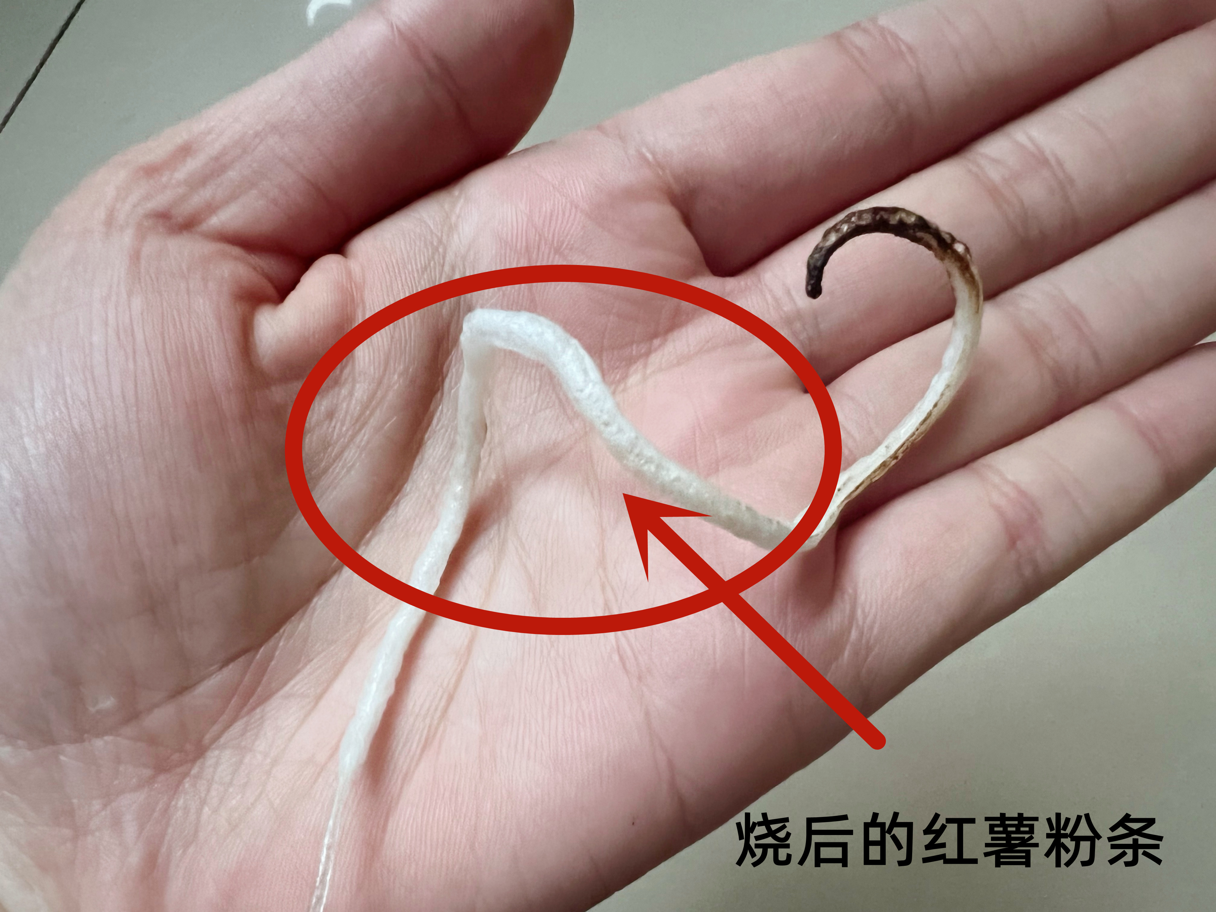 怎么辨别纯红薯粉条的真假,粉条怎样买才能买到真的红薯粉条