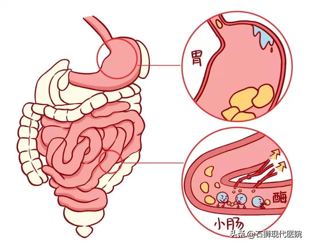 响屁不臭与臭屁不响是谁说出来的,响屁和臭屁哪个危害大