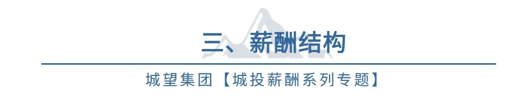 城投涨薪制度,城投薪酬改革