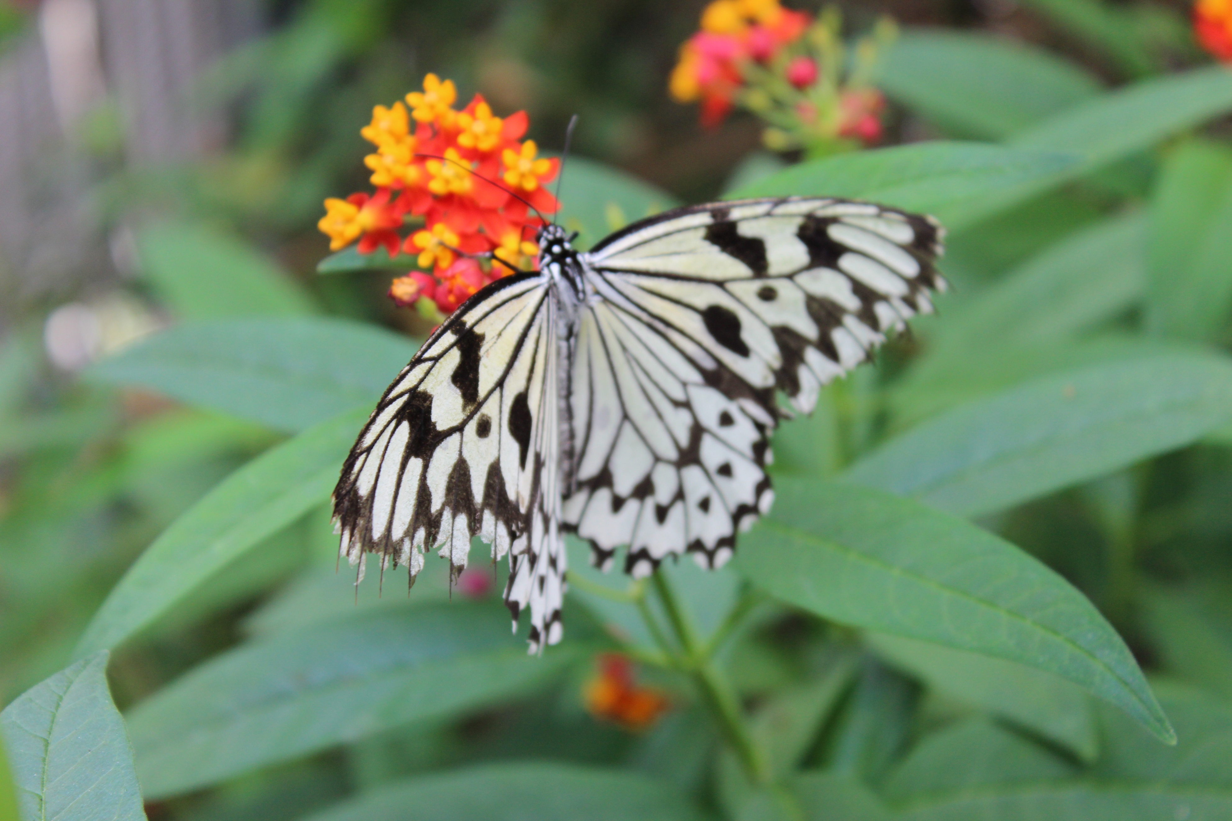 2017最全台湾购物攻略,台湾宝岛购物攻略