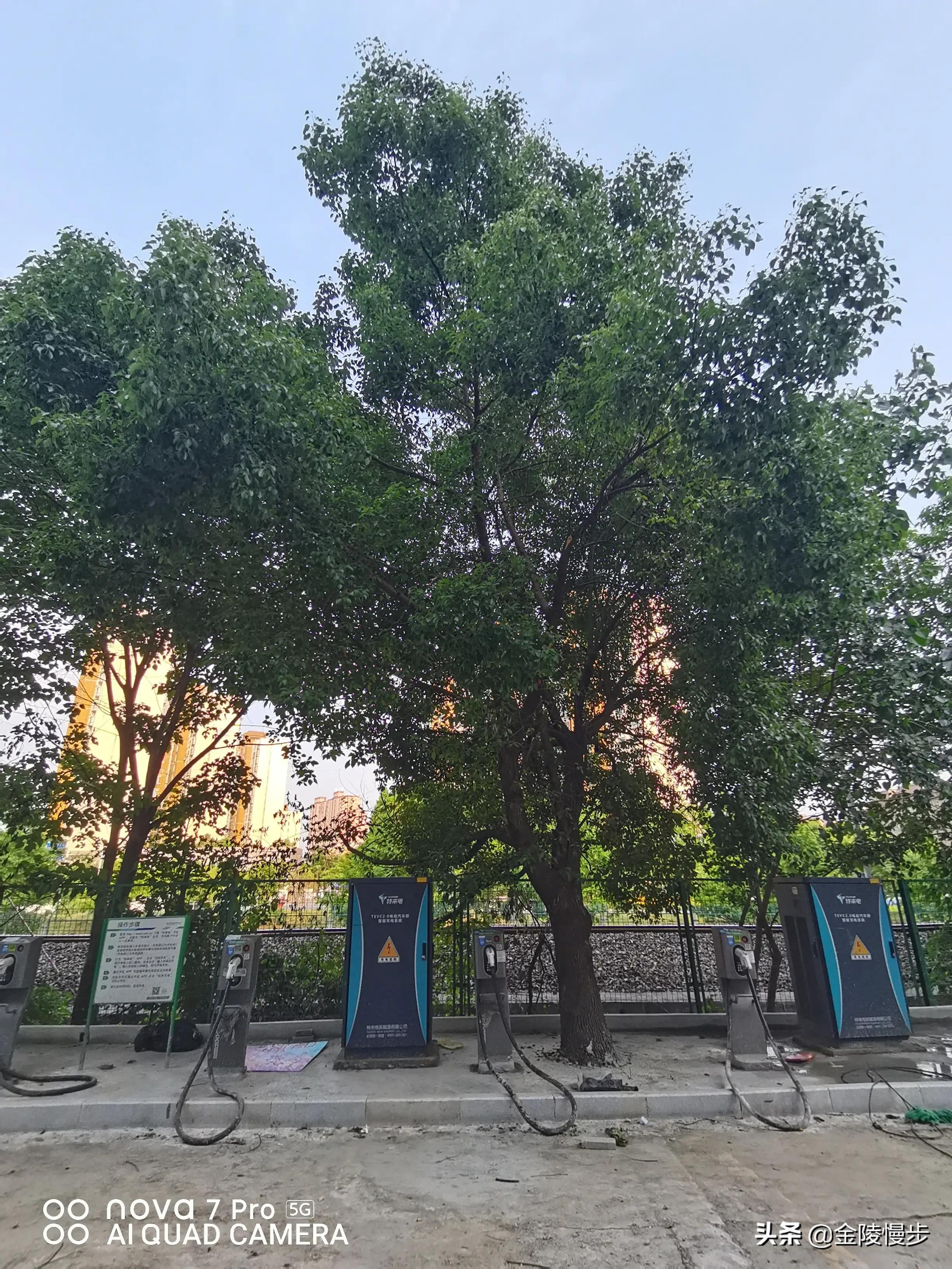 梅山街道梅山商业广场,梅山广场简介