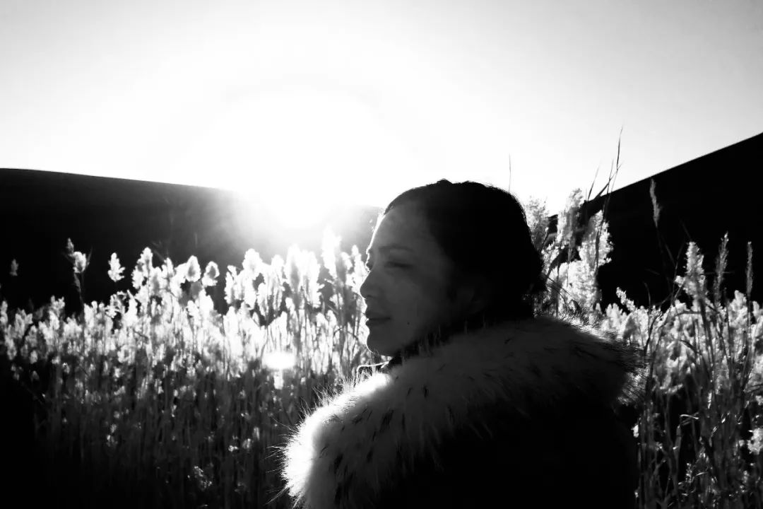 终朝采蓝-2023届毕业作品展