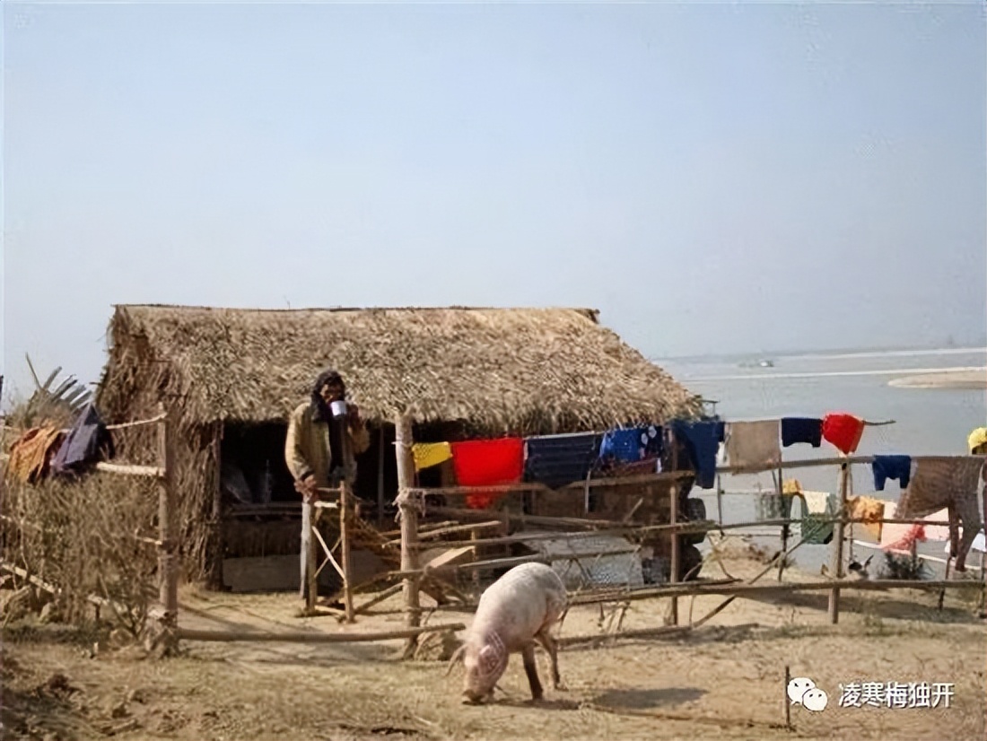 我的奇趣岁月——小学