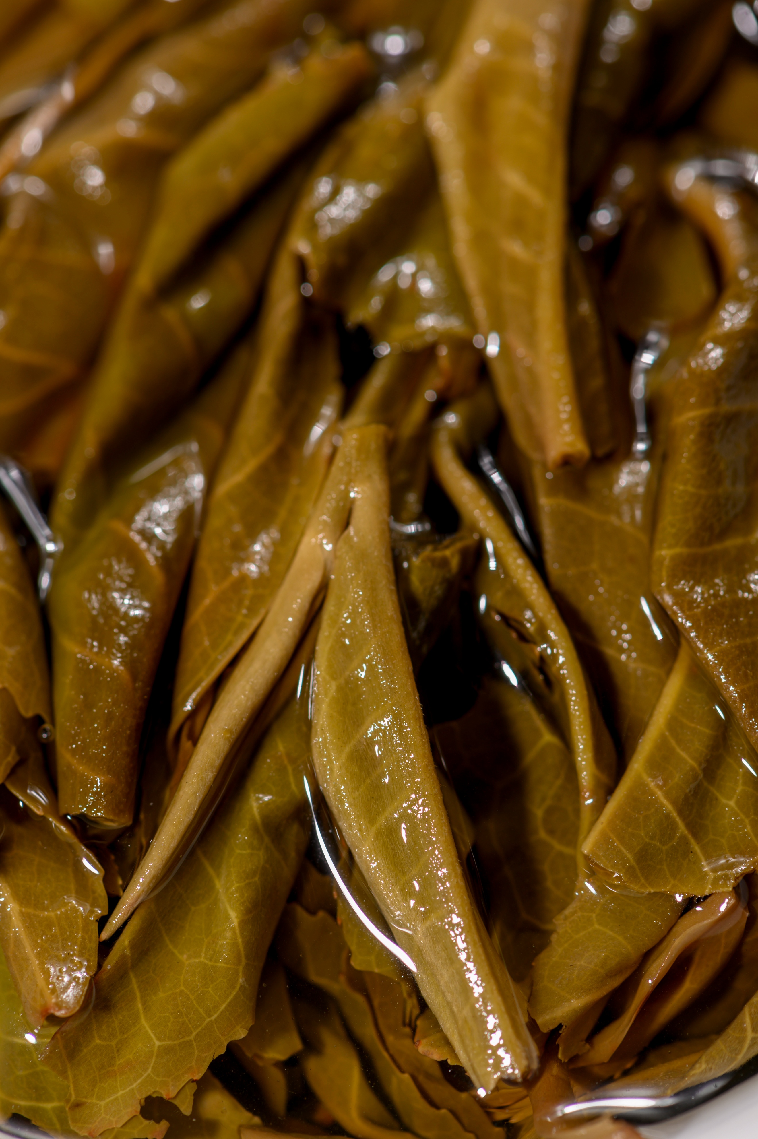 老茶人普洱茶发酵方法,老茶人视频教学