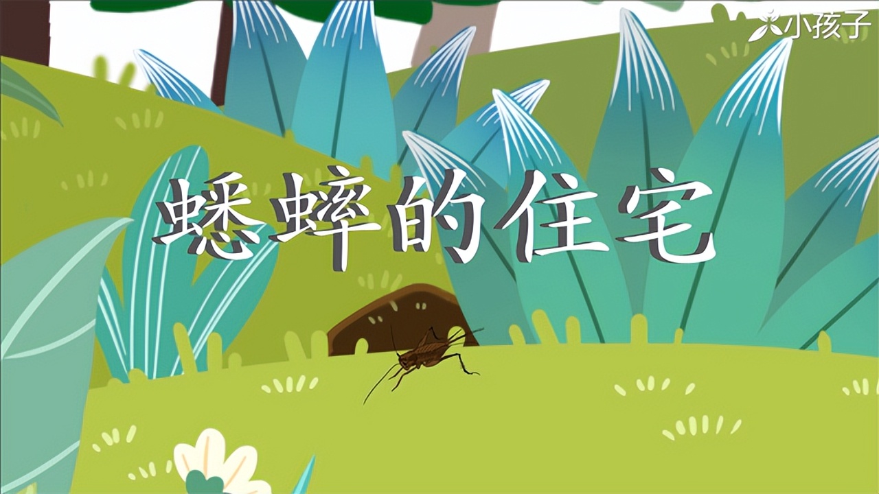 四年级语文书上册蟋蟀的住宅讲解,四年级上册蟋蟀的住宅课文讲解