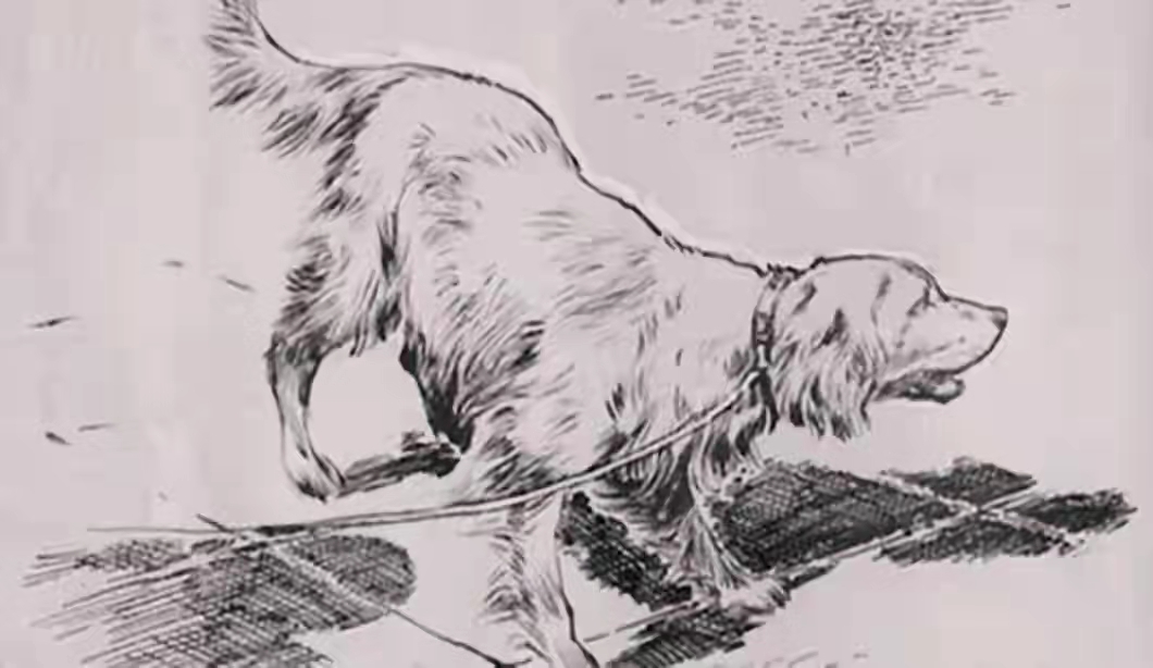 民间故事装死躲过一劫,民间故事男子在山神庙避雨