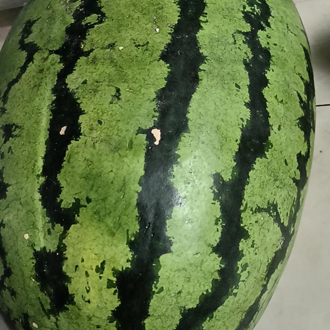 谁知道这是什么蘑菇,谁知道这是什么动漫