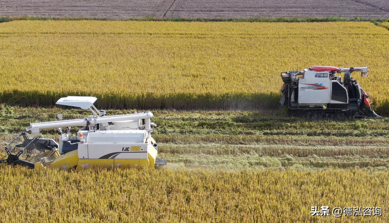 可研报告的政策规定,可研新大纲项目建设方案