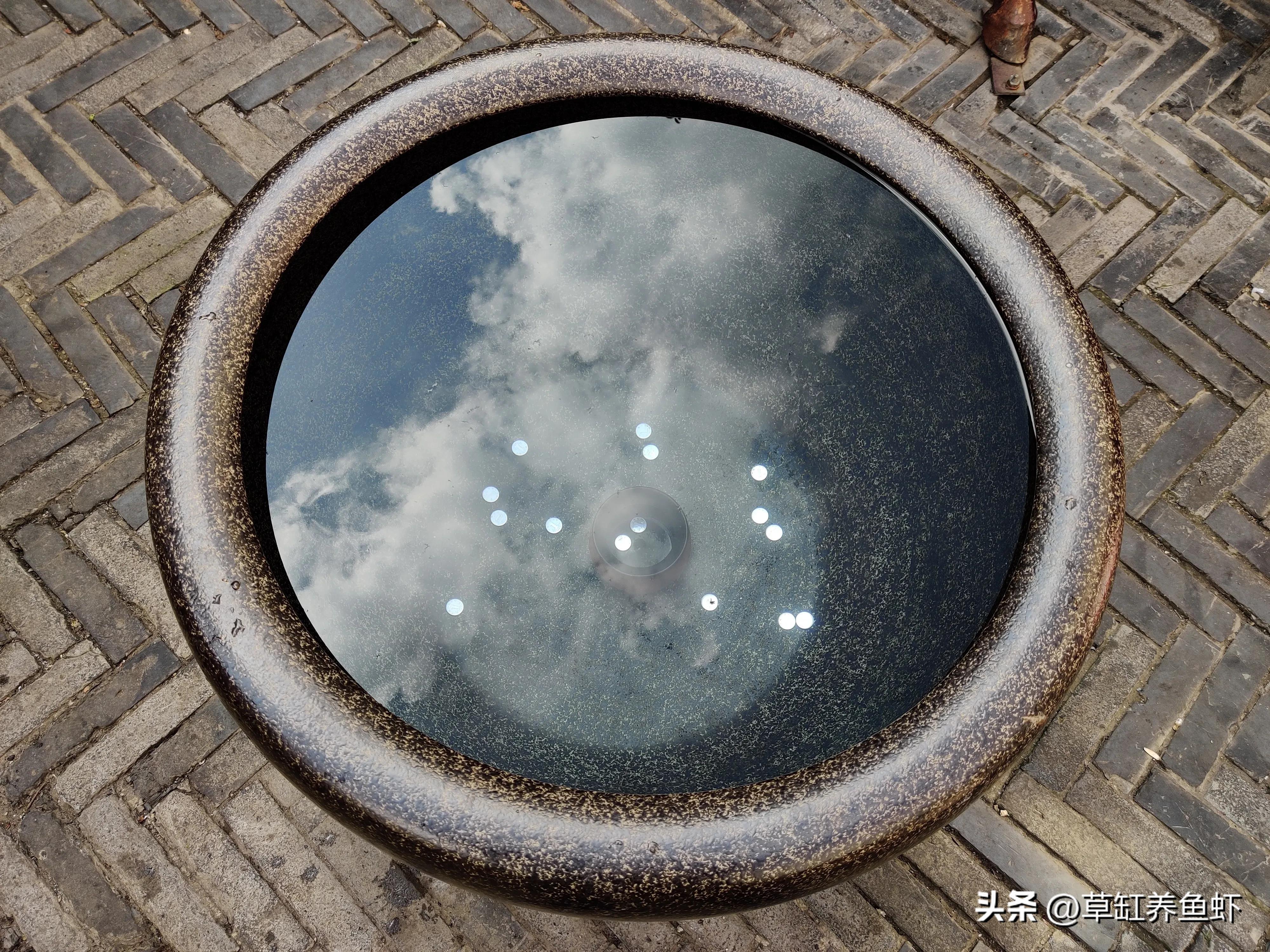 养鱼最强大的过滤桶,鱼缸养鱼必备过滤