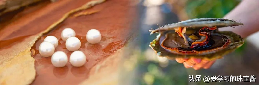 如果只能拥有一支口红选什么颜色,比澳白还要好的珍珠