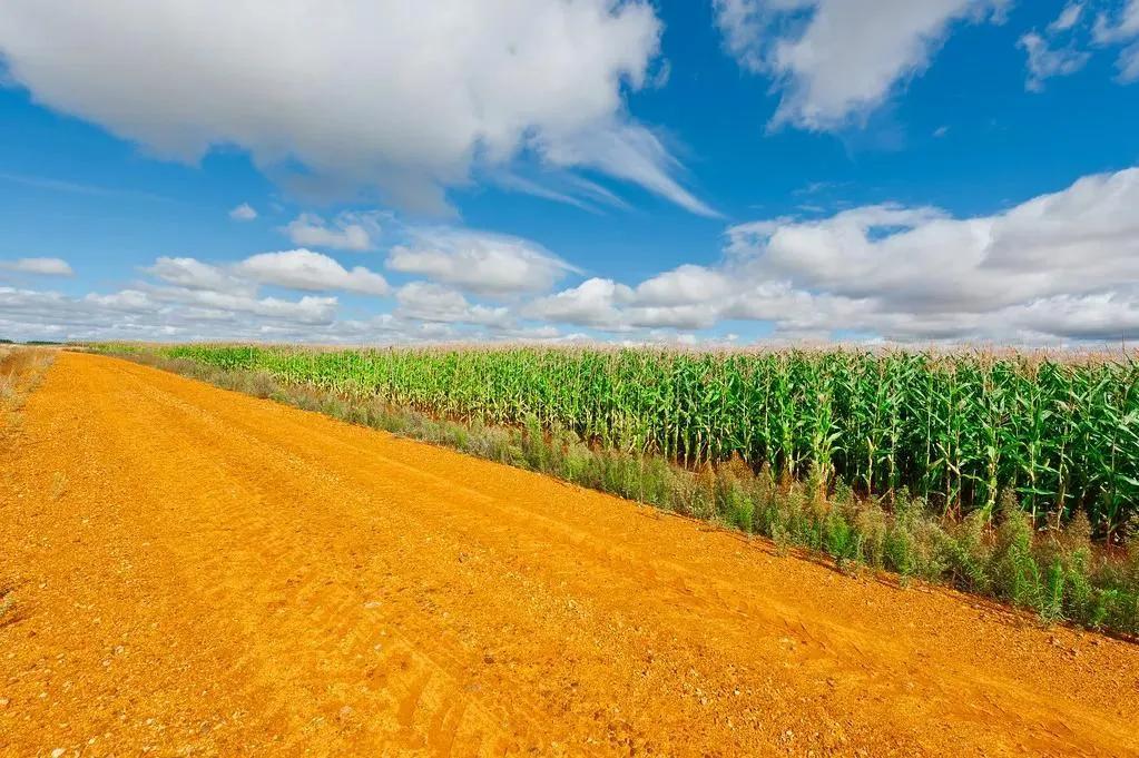 农业补贴和养老补贴,代表建议提高农民养老标准