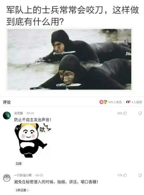 为什么鳄龟长大了背甲会变,鳄龟为什么养的背甲很大