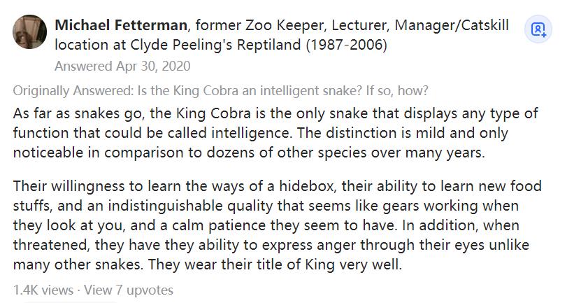 巨大眼镜王蛇被蛇獴杀死,泰国蛇王被咬死