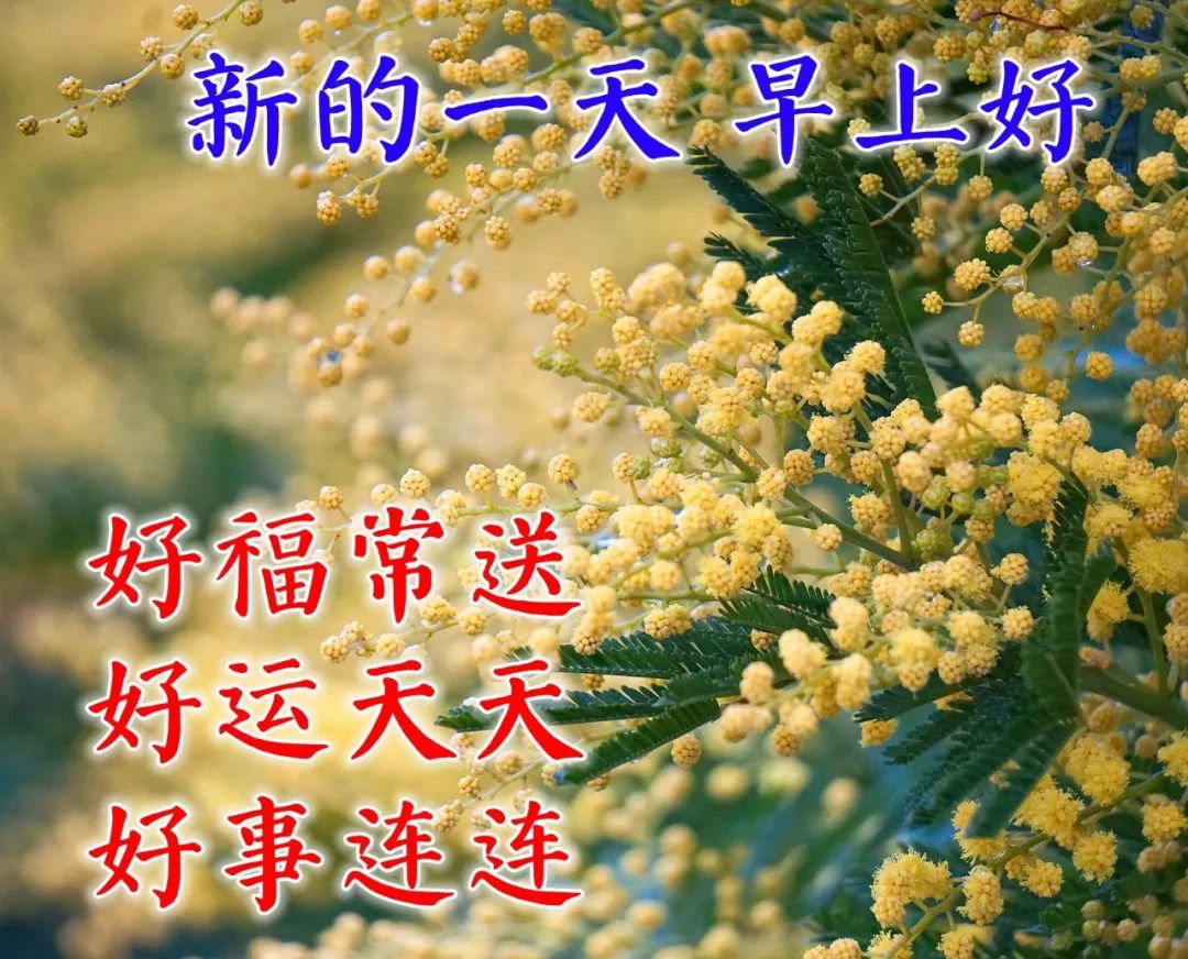 冬天早上祝福语最温馨的话图片,冬天早晨祝福语图片大全