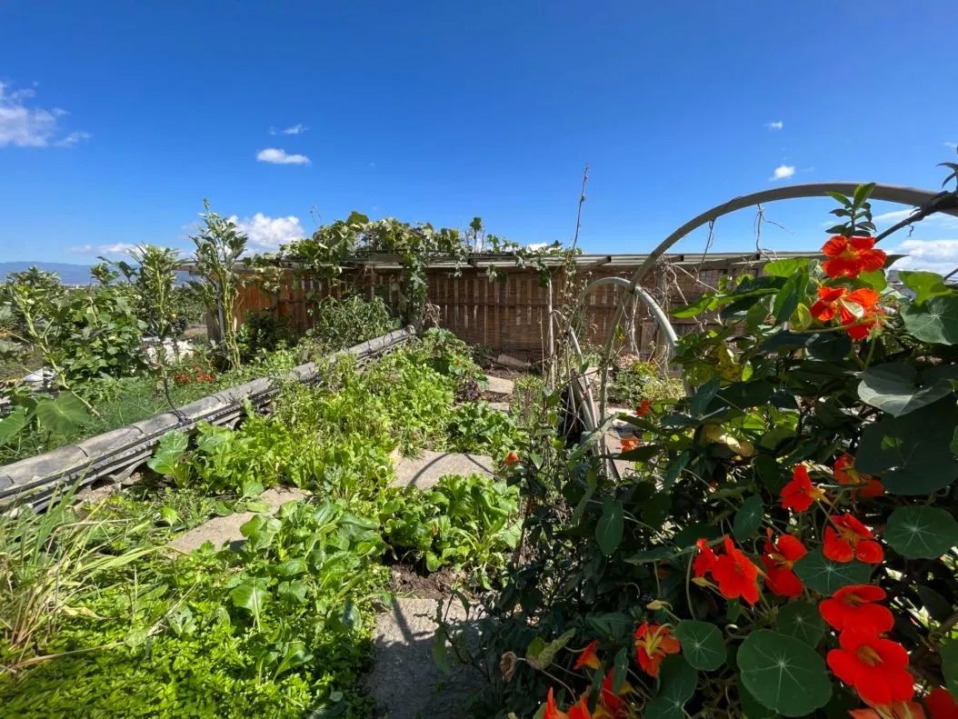 食物故事纪录片,食物故事大全完整版