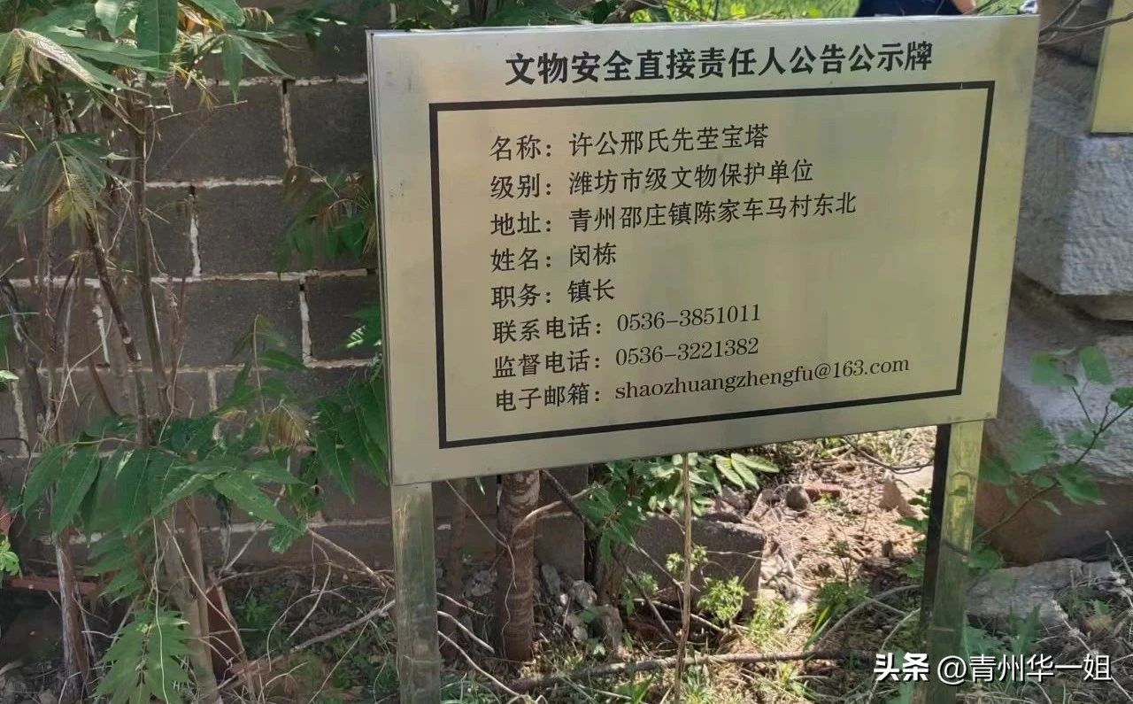 陈家车马村历史遗迹众多,青州桃花塔