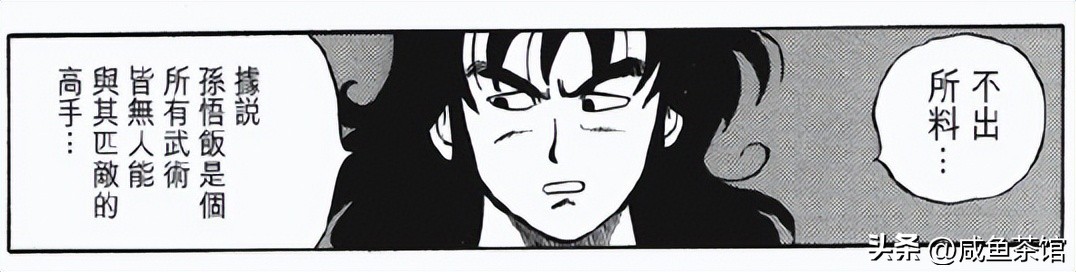 龙珠中十大最强地球人,龙珠里真正地球人战力排行