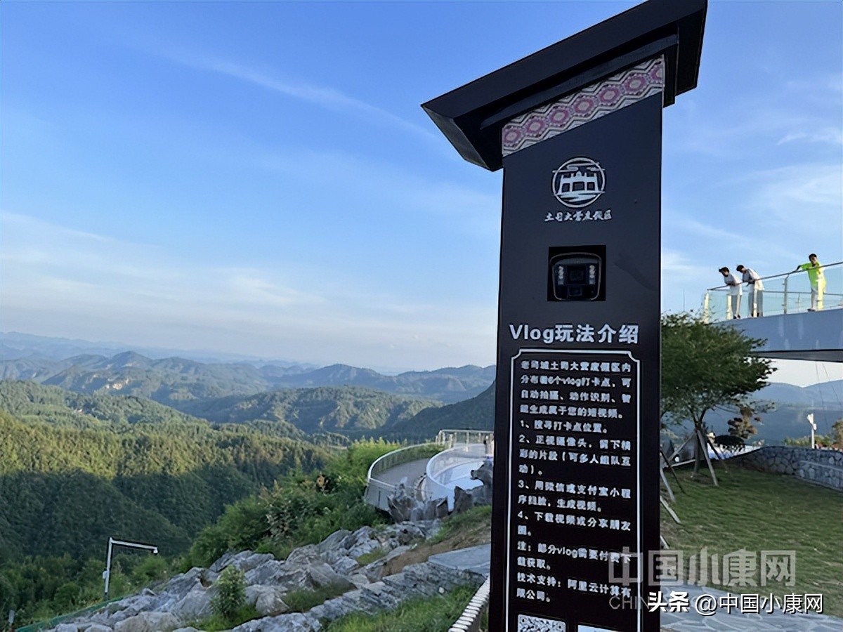 阿里巴巴在乡村振兴方面,阿里巴巴乡村振兴模式研究报告