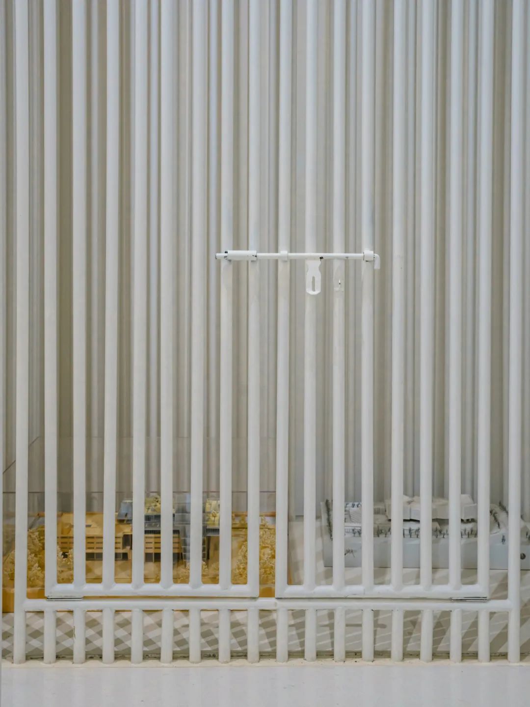 魔都自然博物馆,魔都的博物馆真的很有看头