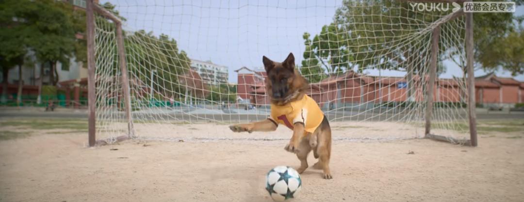 沈腾的守门员是谁教的,守门员沈腾