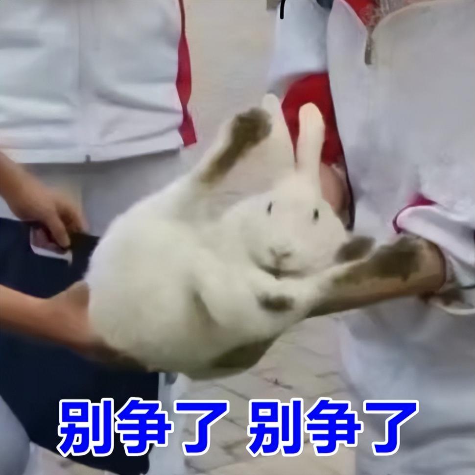 成都人玩的游戏,成都人到处玩