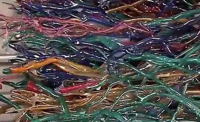 用树木做的宝石,用废弃的树枝制作宝石