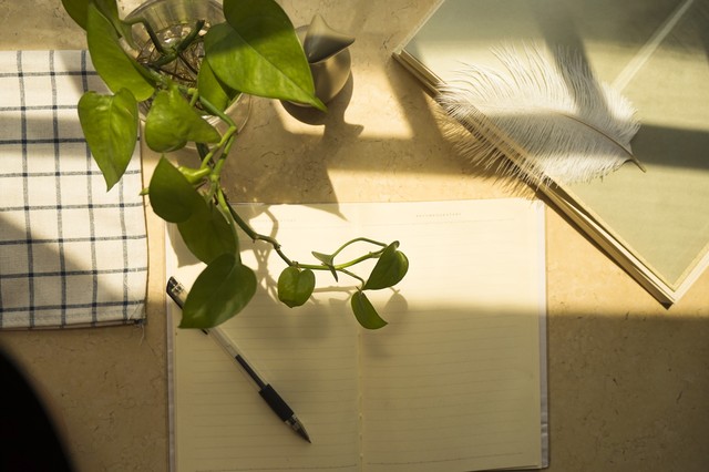 高中优秀作文1000字及点评,高中优秀作文500字加点评