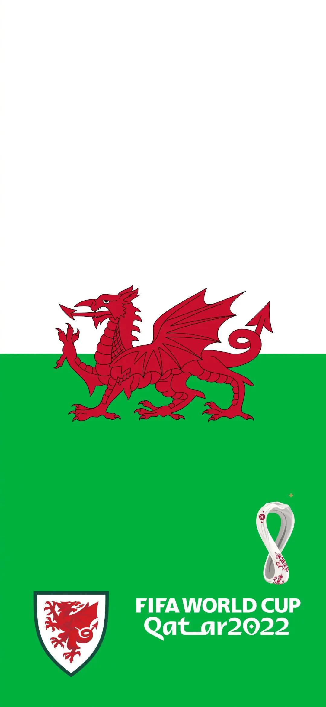 手机壁纸世界杯,卡塔尔世界杯球队壁纸