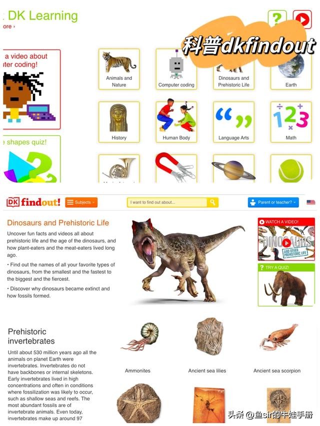 幼小衔接免费学习网站,免费学习小学的培训班