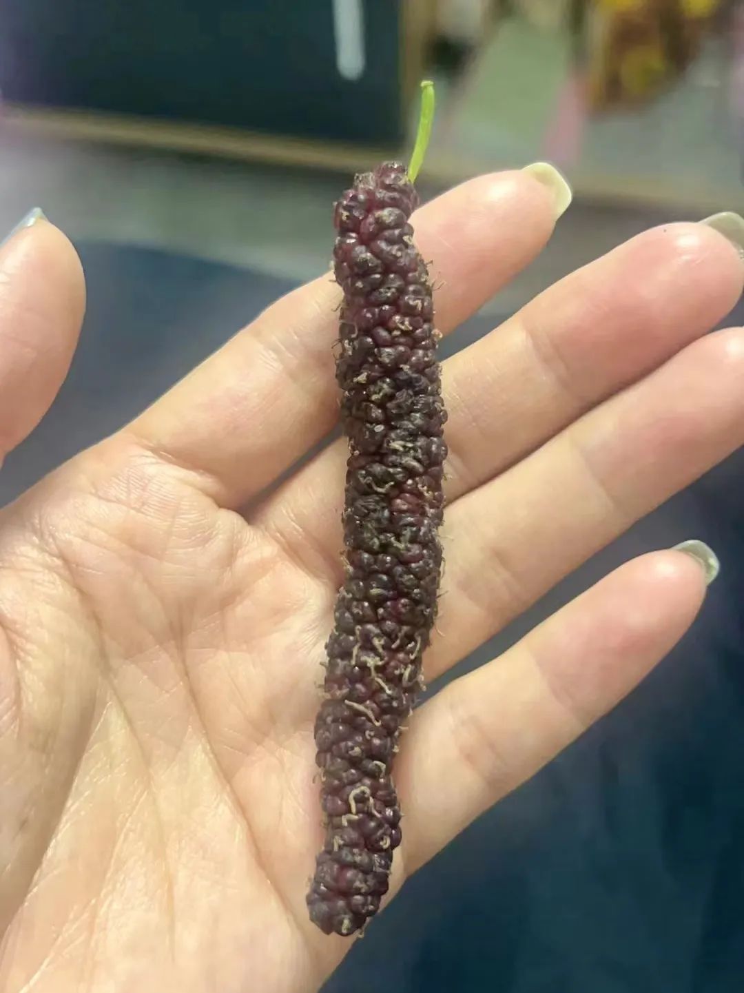 德昌有什么好耍的地方,德昌有啥好玩的地方推荐一下