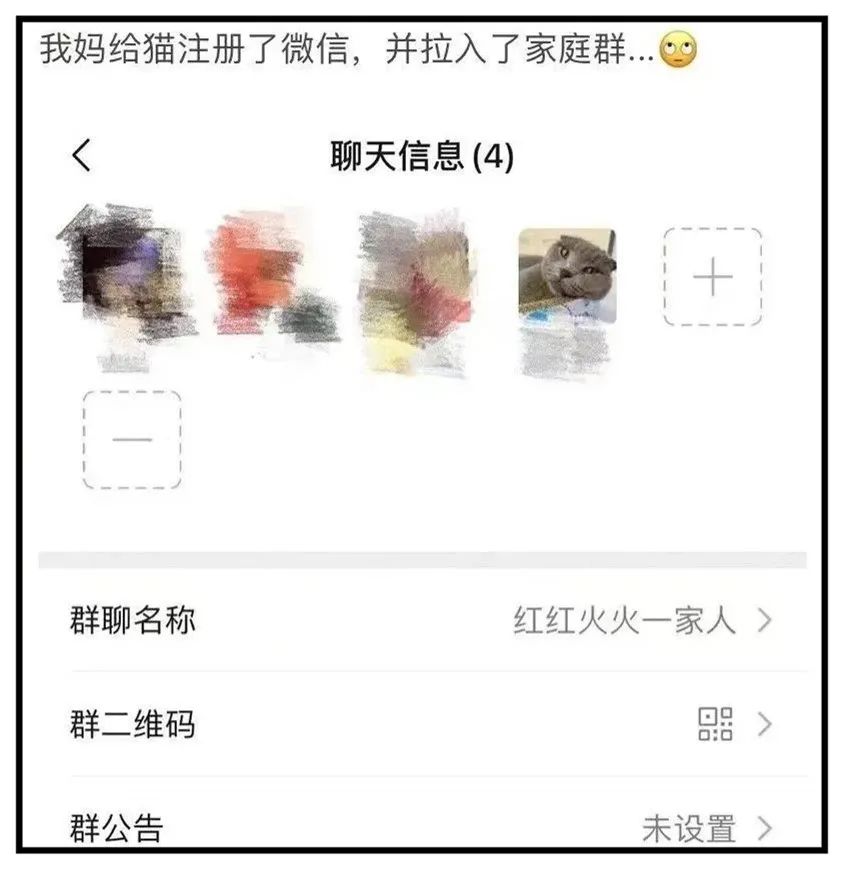 我家猫尿进了洗衣篓里，我爸为了包庇猫说，是他尿的···