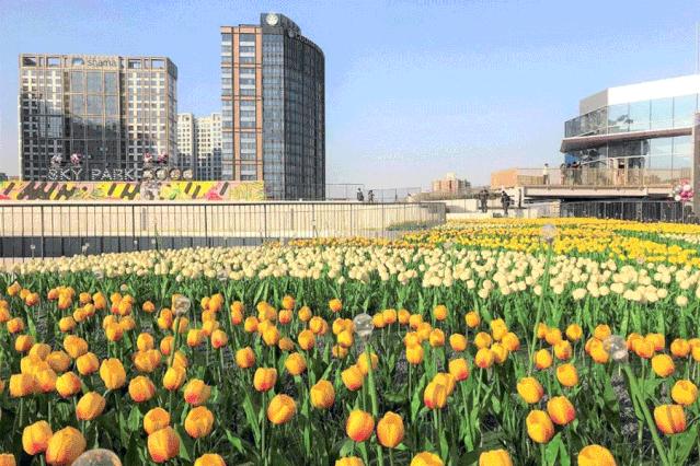 购物中心商业,购物中心应该集中化还是多元化