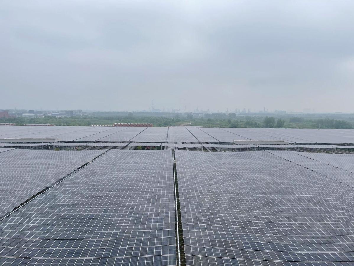 武汉污水处理厂光伏发电,武汉污水处理厂光伏