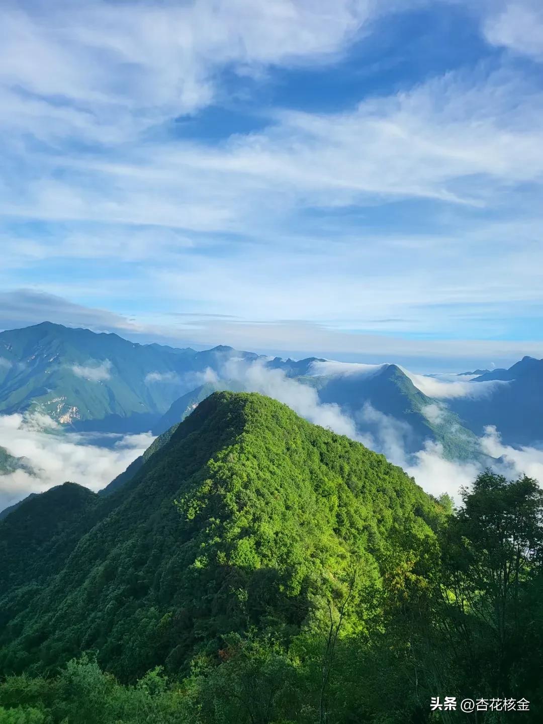 巴厘岛收国际旅游税,巴厘岛旅游退税多少