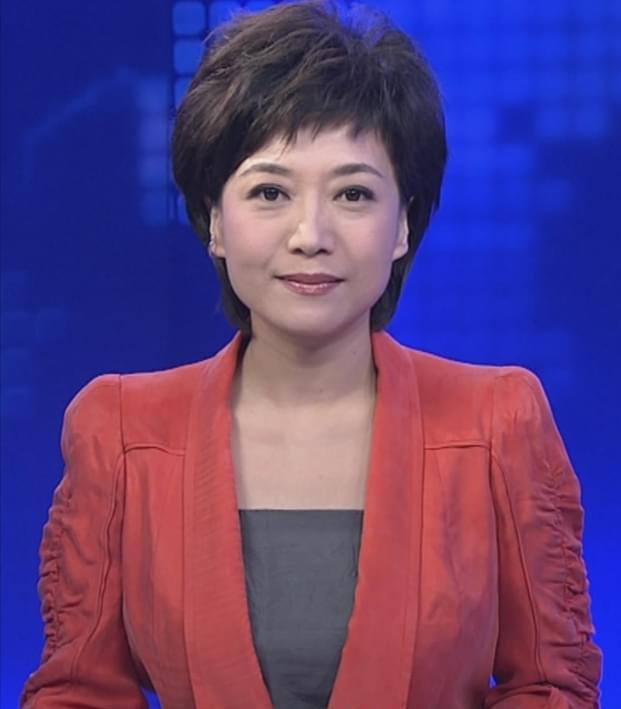 河北新闻联播主持人,河北新闻联播主持人傅敏
