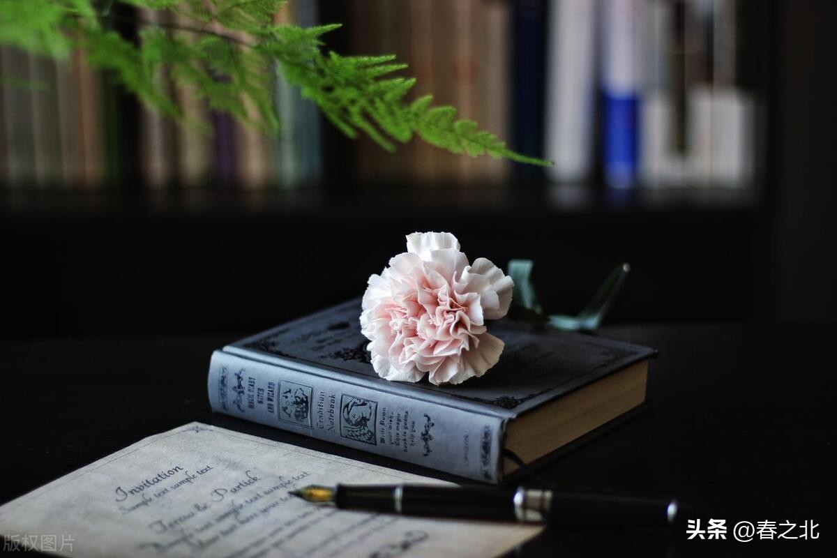 时光静好岁月不老的句子简短,愿岁月不老时光静好你我安好