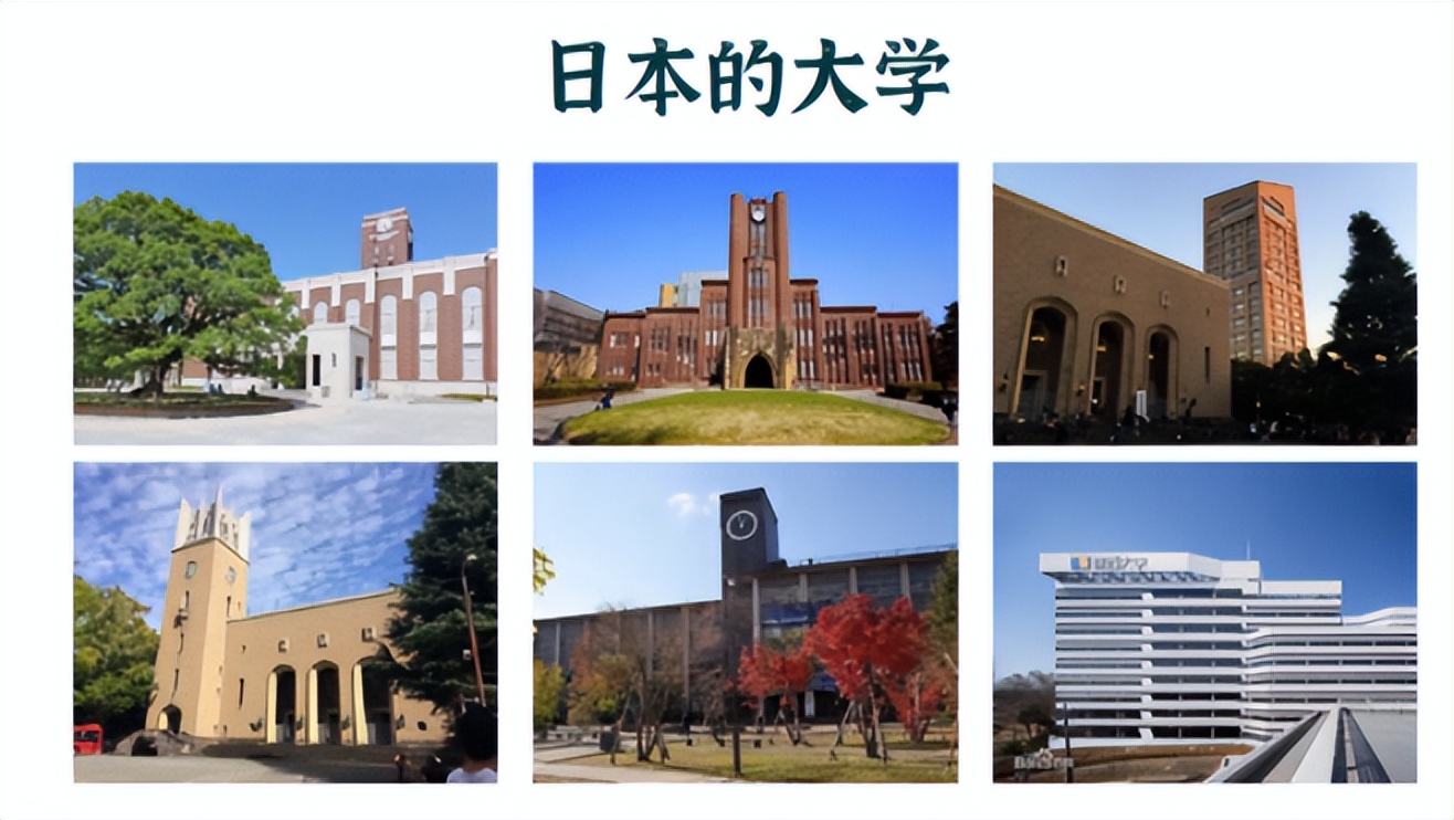 日本大学经济学专业排名,日本大学的综合经济专业学什么