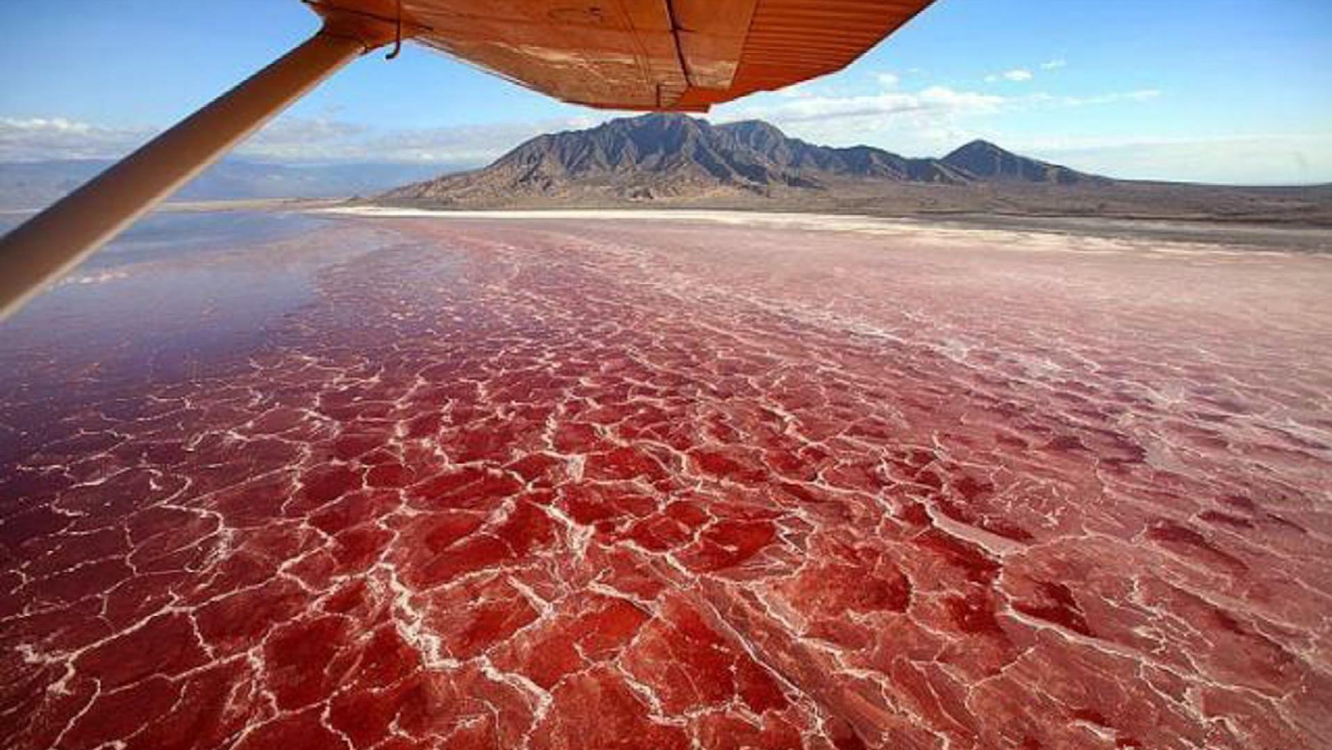 鬼斧神工大自然十大奇观,地球上的七大自然奇观