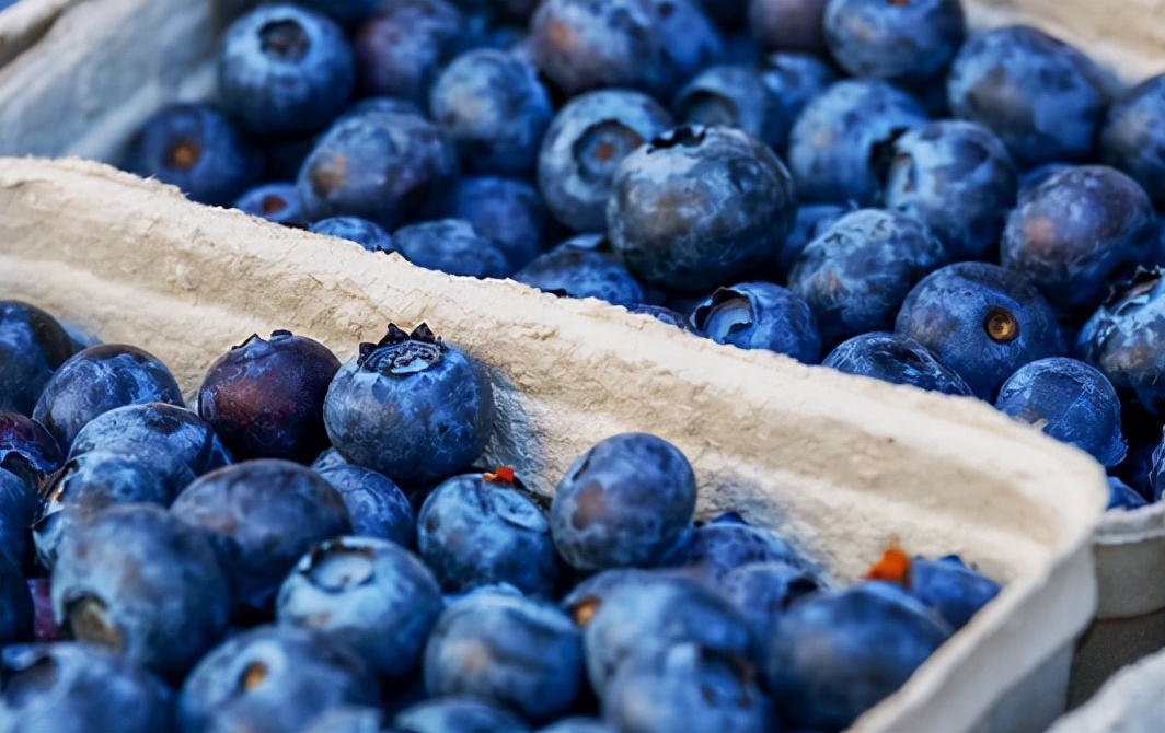 蓝莓怎么吃才可以护眼养颜,每日蓝莓一盒