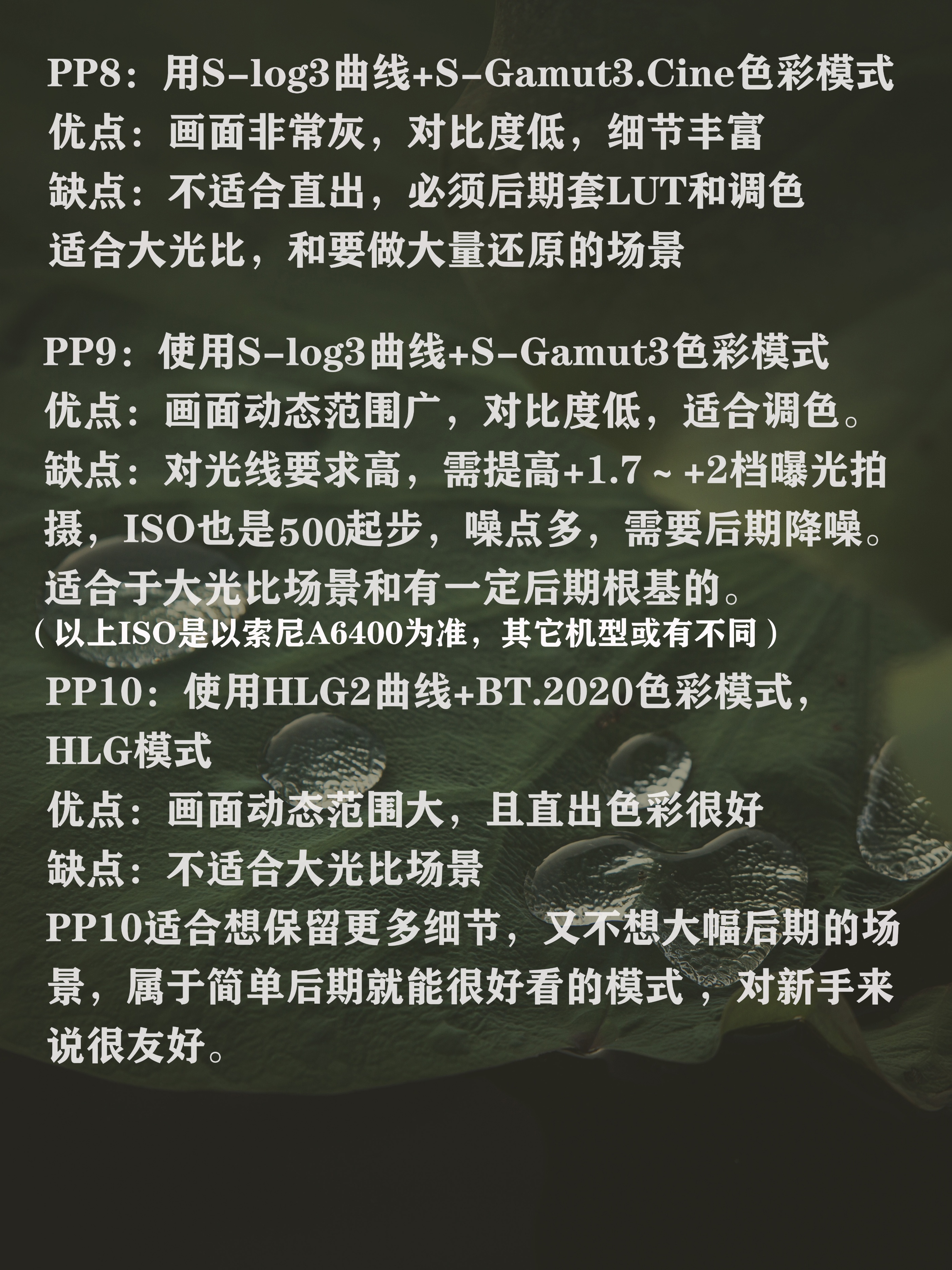 索尼pp值细节等级是什么,索尼pp值1到10的区别
